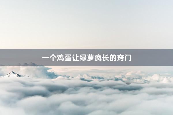 一个鸡蛋让绿萝疯长的窍门